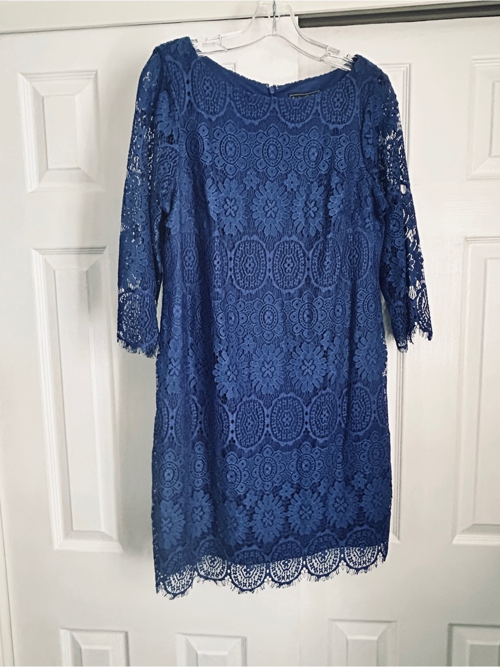 Jax Royal Blue Lace Shift Dress - Long Sleeve